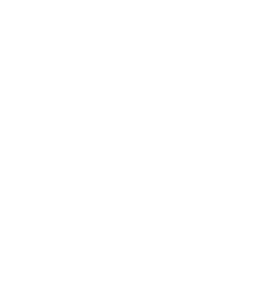 Celebrating 21 Years <br>of AFRINIC
